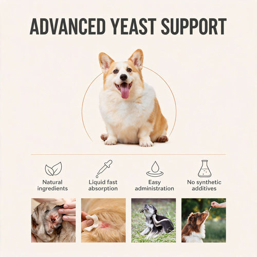 Pawlora Co. Yeast Defense™
