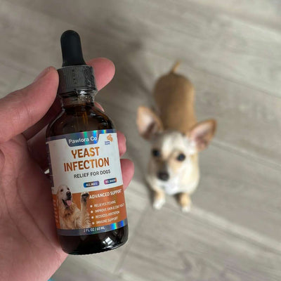 Shake And Dose By Weight